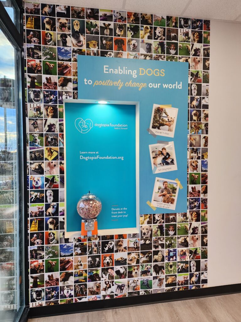Dogtopia photo collage wall decals in a lobby